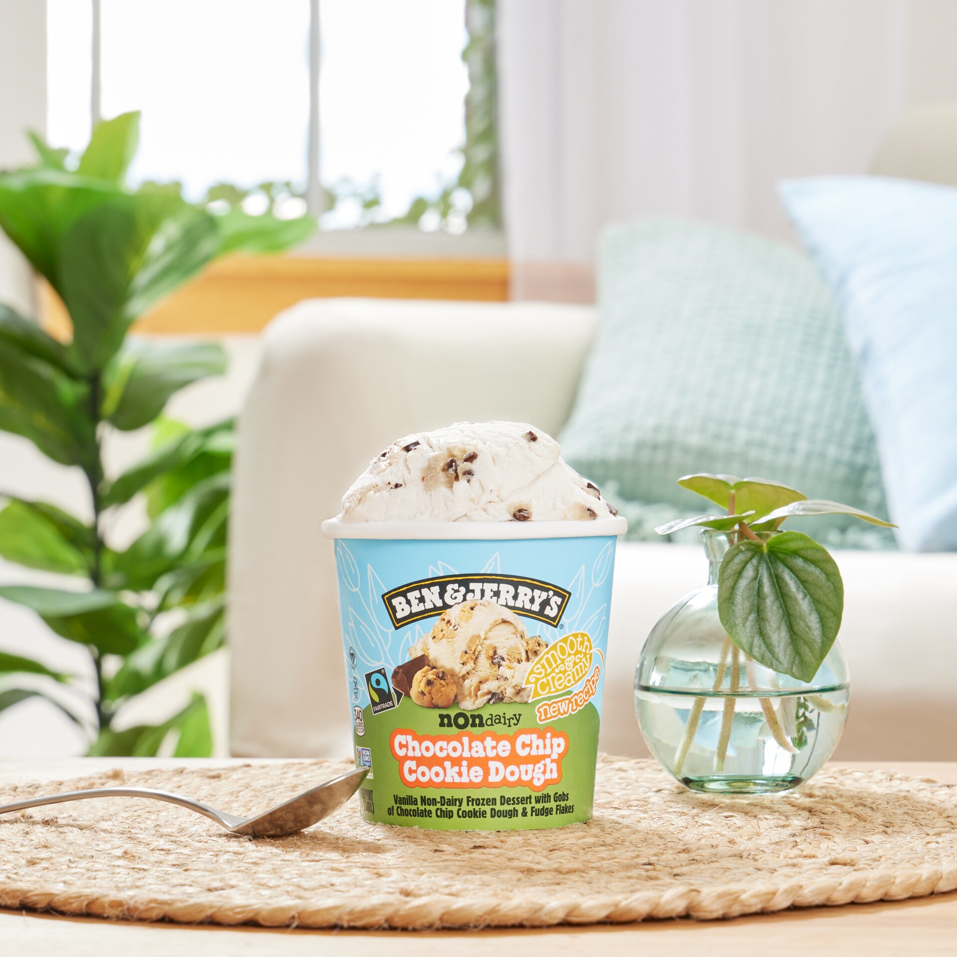 Chocolate Chip Cookie Dough Non-Dairy Oat Pint