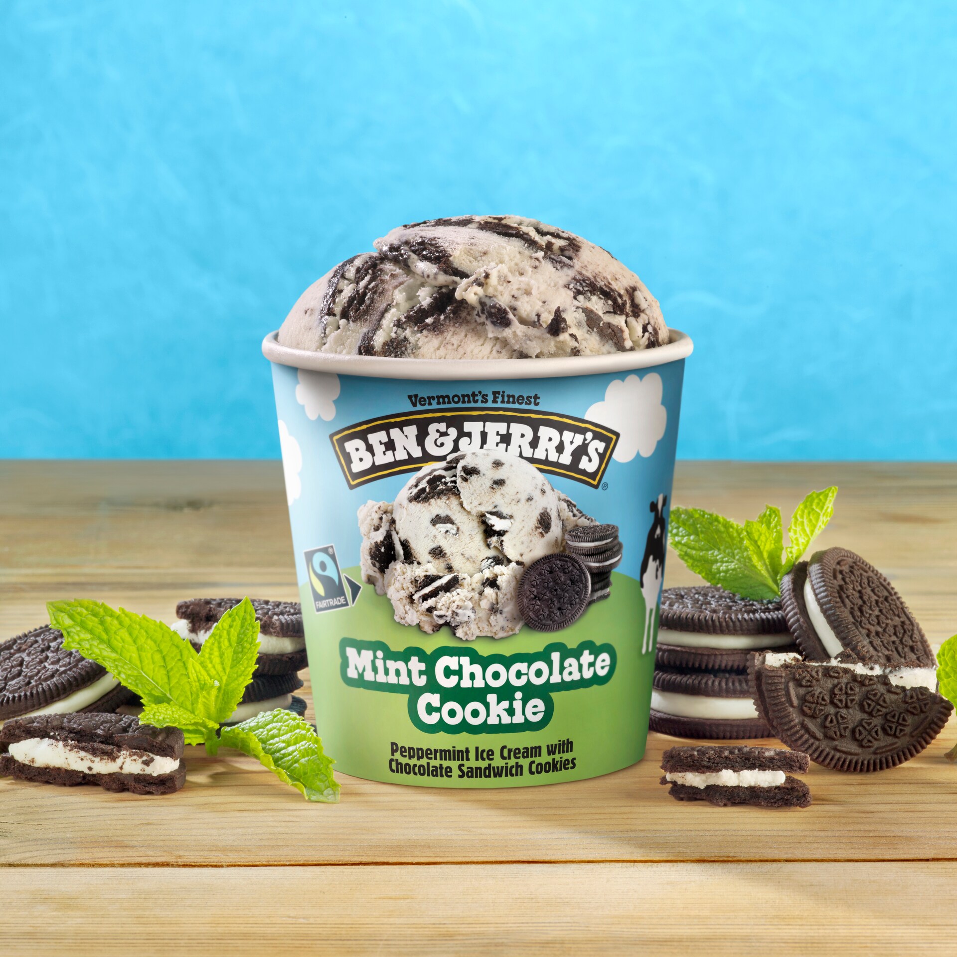 Mint Chocolate Cookie Original Ice Cream Pint