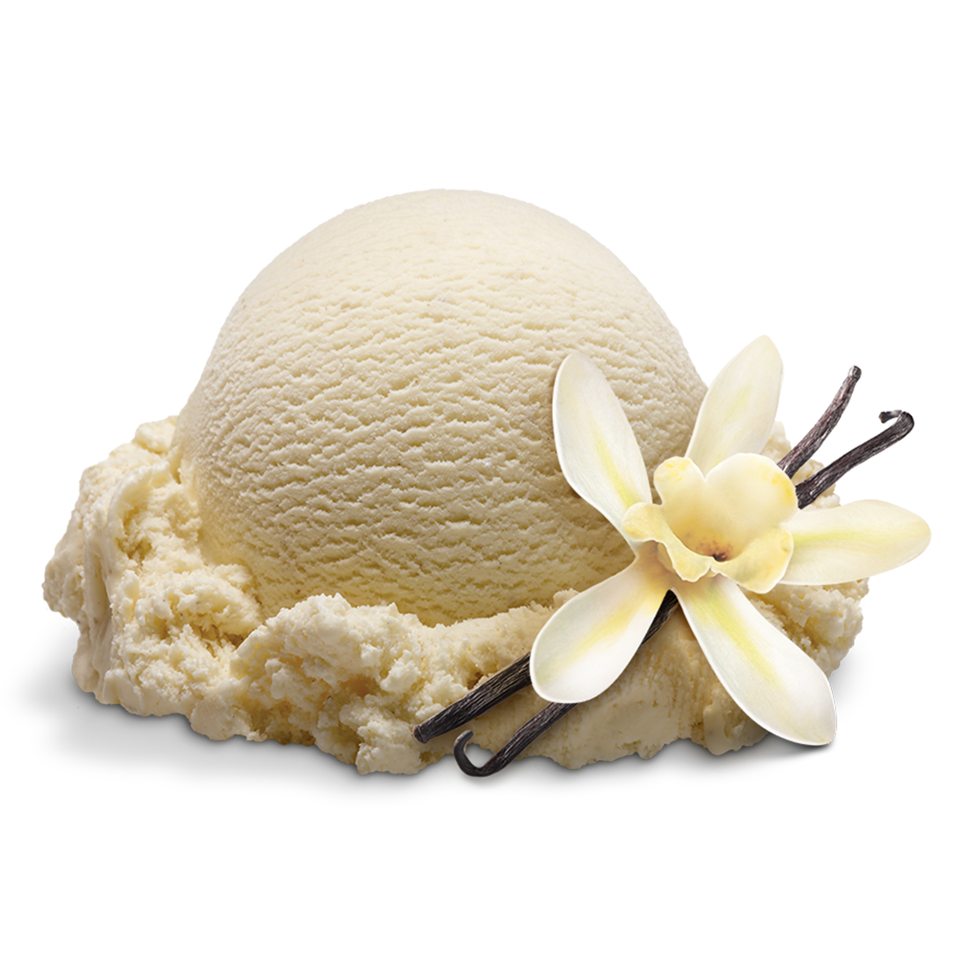 Scoop of Ice Cream with ingredients