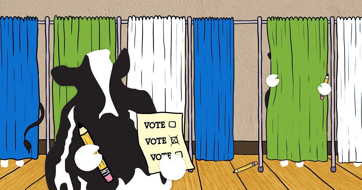 voter_fb2.jpg