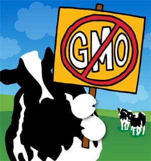 nonGMO.jpg (caring dairy picket)