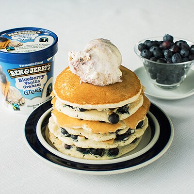 Blueberry Vanilla Graham Greek Frozen Yogurt
