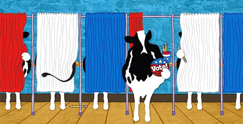 Woody at voting polls