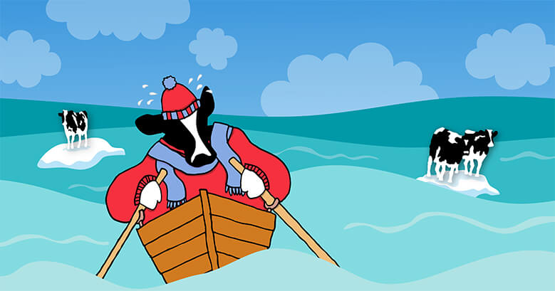 Woody canoeing