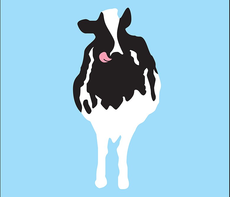 Woody the cow