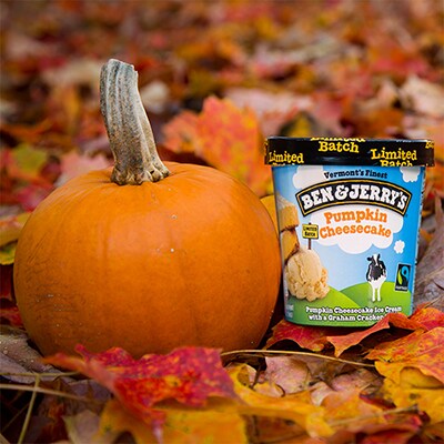 a pint of Ben & Jerry's Pumpkin Cheesecake next to a pumpkin