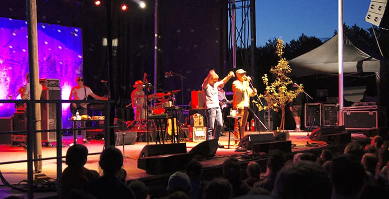 Ben & Jerry's Concert on the Green - Cake