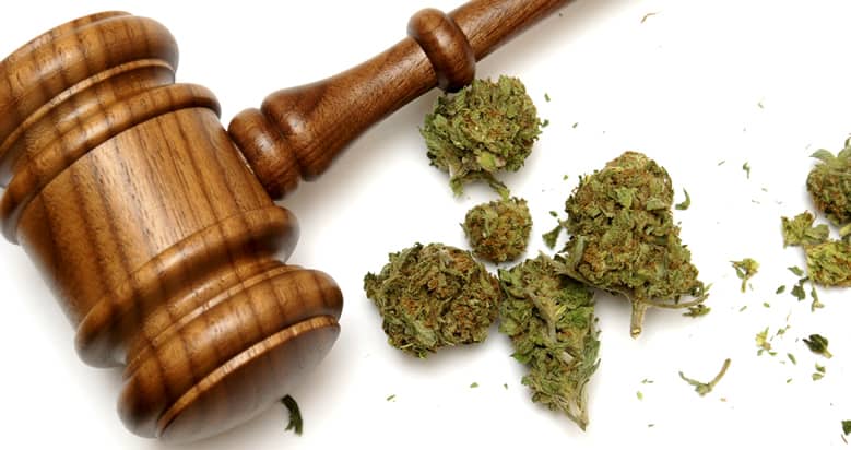 A gavel with marijuana